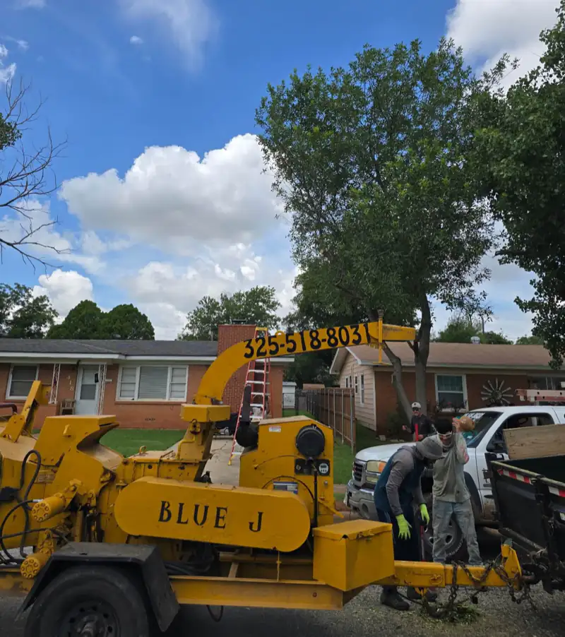 Blue J crew feeding branches into the company wood chipper during a tree removal in Abilene